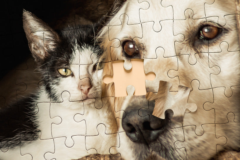 Turn Your Favorite Photo Into a Custom Puzzle