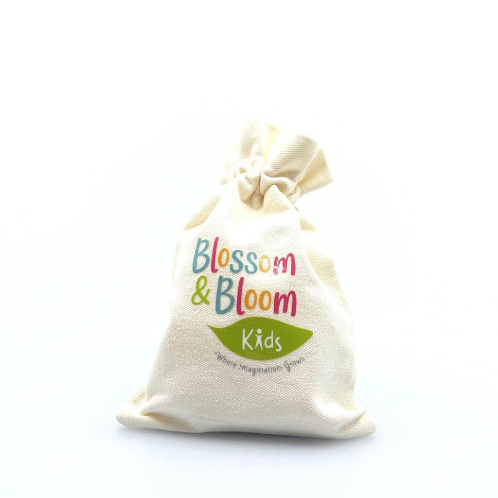 Pixie Hollow, A Fairy Playdough Kit